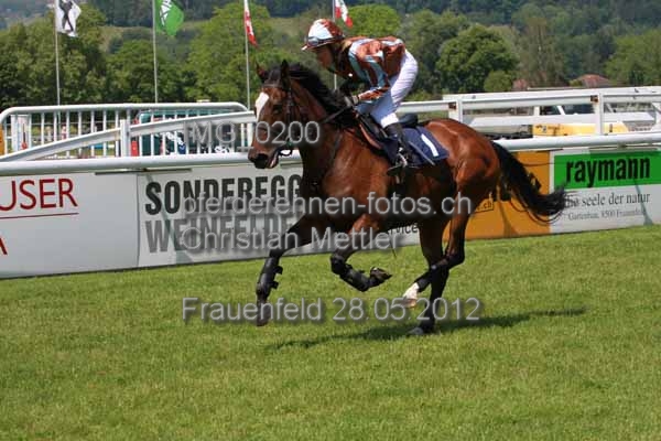 IMG 0200 prot
