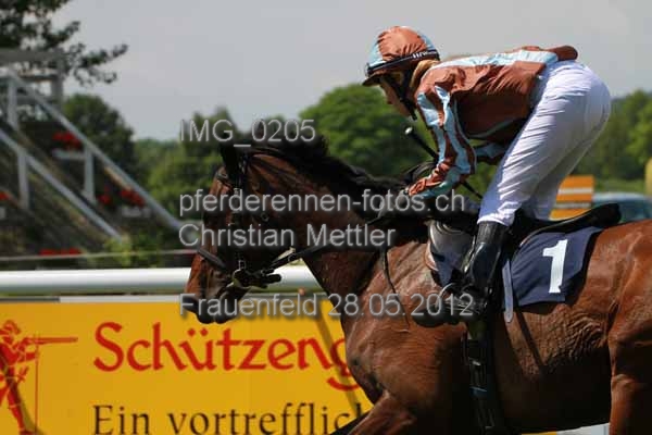 IMG 0205 prot