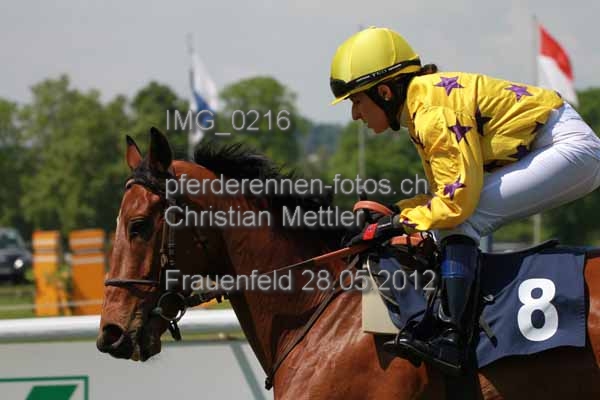 IMG 0216 prot