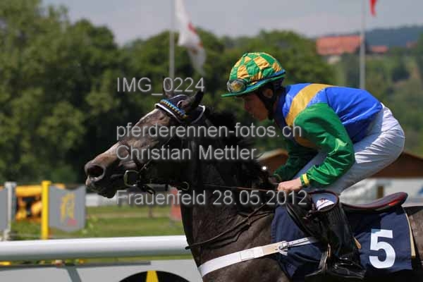 IMG 0224 prot