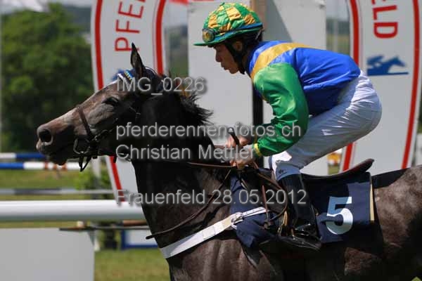 IMG 0226 prot