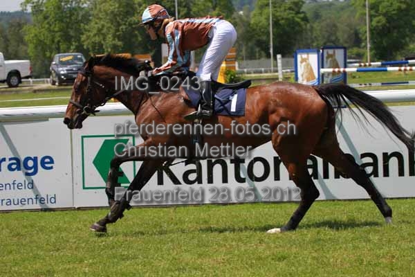 IMG 0243 prot