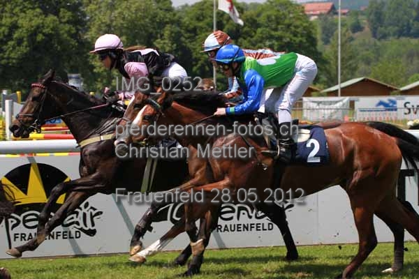 IMG 0252 prot