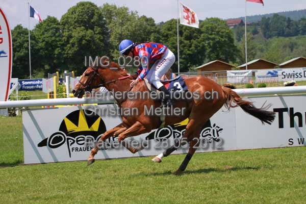 IMG 0280 prot