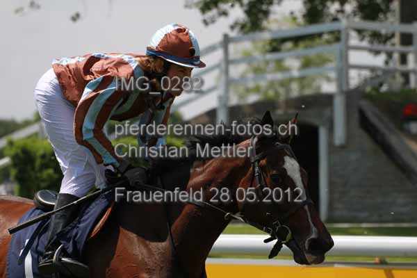 IMG 0282 prot