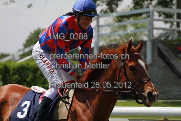 IMG 0288 prot