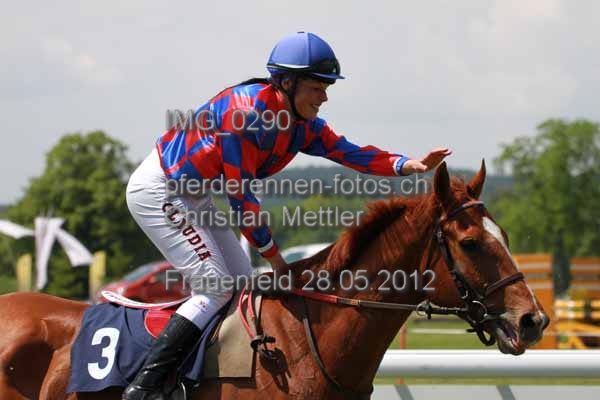 IMG 0290 prot
