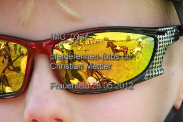 IMG 0337 prot