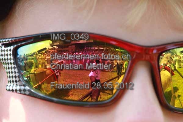 IMG 0349 prot