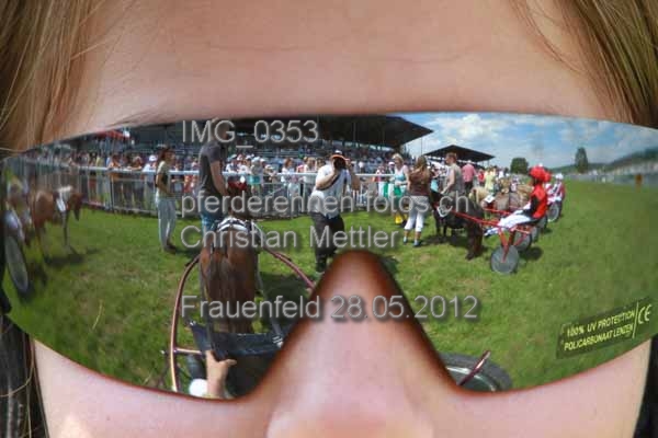 IMG 0353 prot