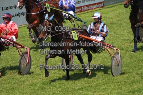 IMG 0368 prot