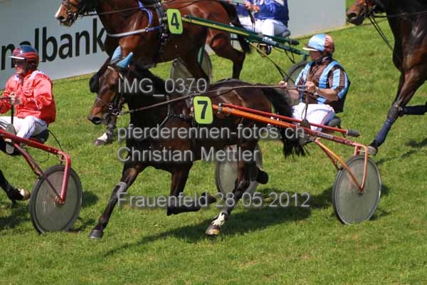 IMG 0370 prot