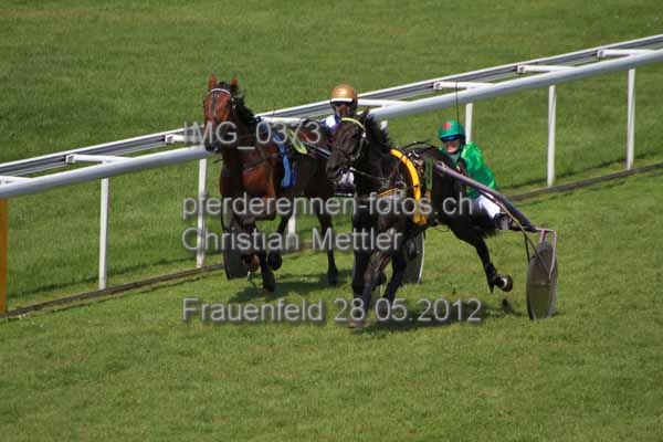 IMG 0373 prot