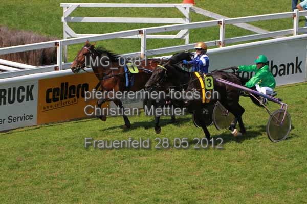 IMG 0381 prot