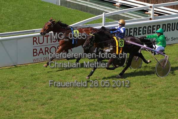 IMG 0385 prot