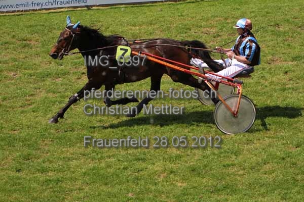 IMG 0397 prot