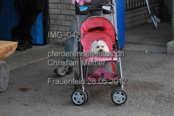 IMG 0421 prot