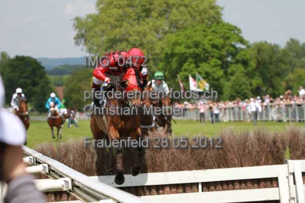IMG 0472 prot