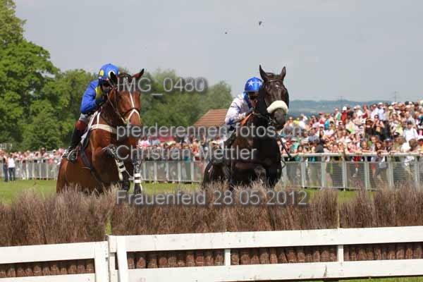 IMG 0480 prot