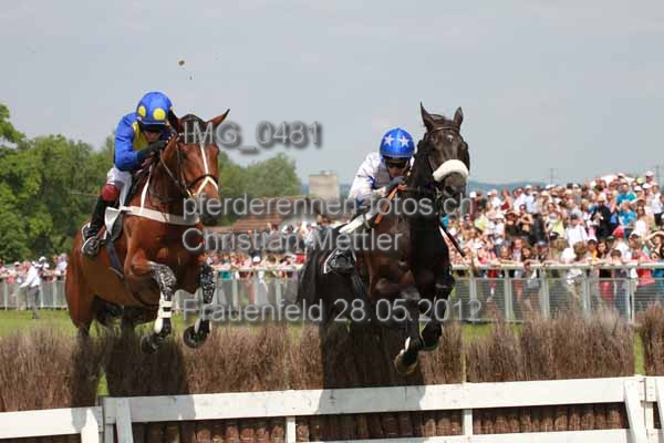 IMG 0481 prot