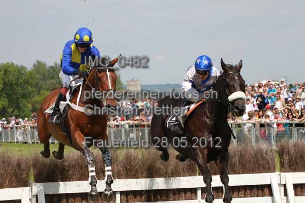 IMG 0482 prot