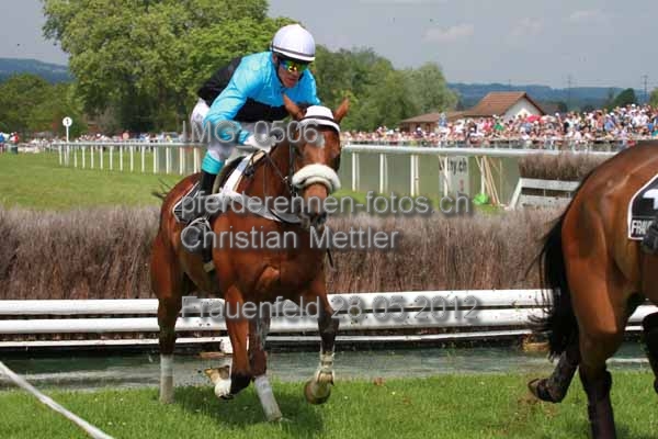 IMG 0506 prot