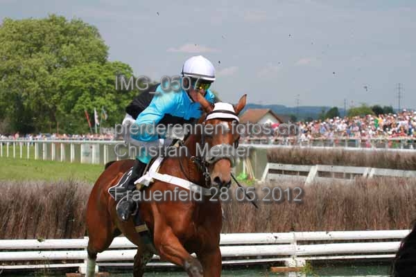 IMG 0507 prot