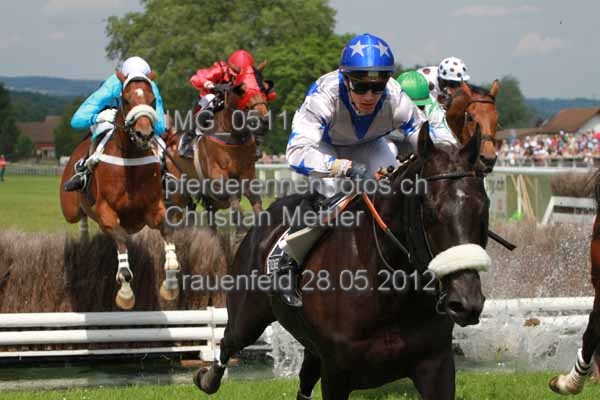 IMG 0511 prot