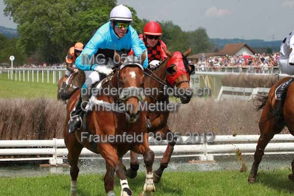IMG 0514 prot