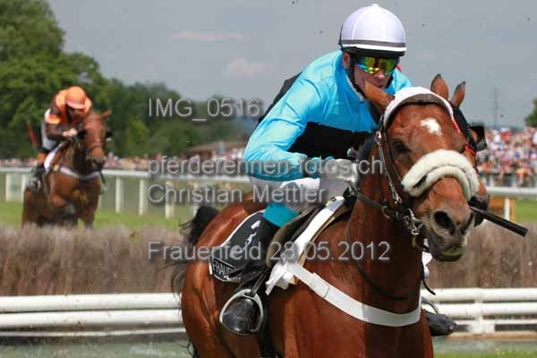 IMG 0516 prot