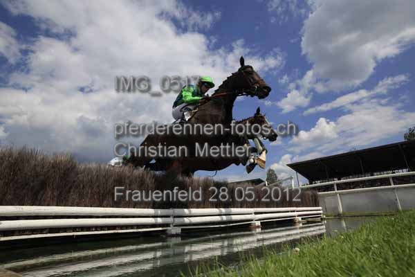 IMG 0517 prot