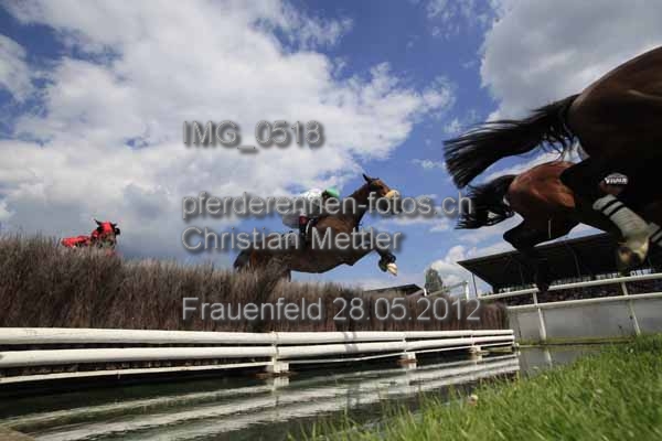 IMG 0518 prot