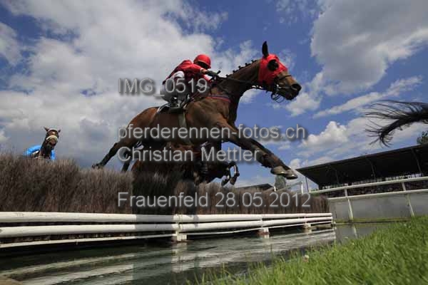 IMG 0519 prot