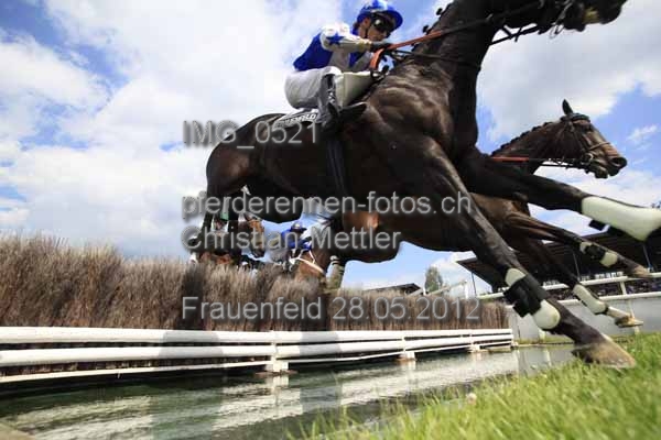 IMG 0521 prot
