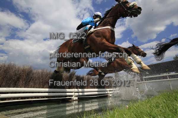 IMG 0522 prot