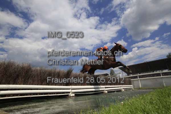 IMG 0523 prot