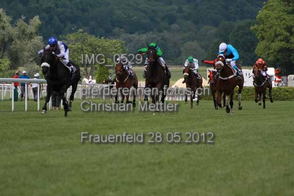 IMG 0529 prot