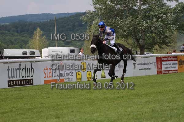 IMG 0536 prot
