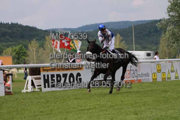 IMG 0539 prot