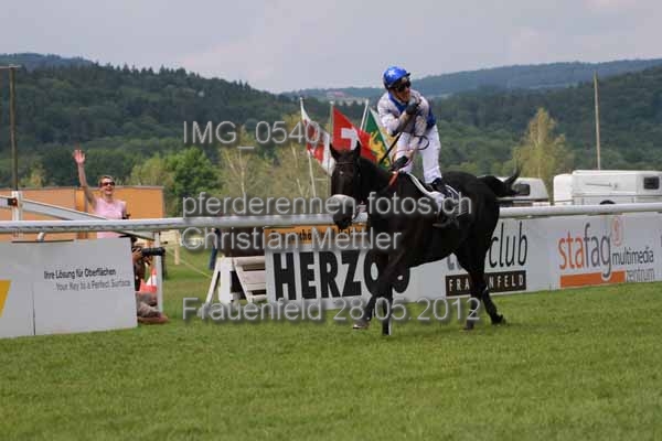 IMG 0540 prot
