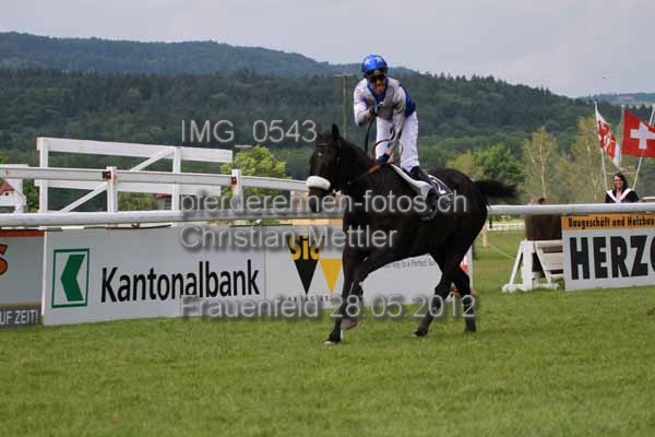 IMG 0543 prot