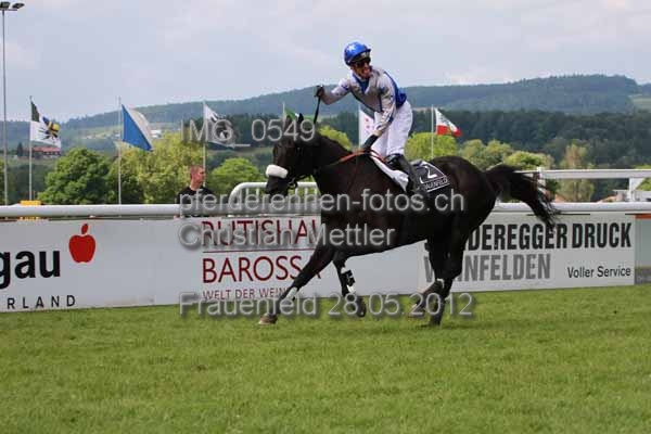 IMG 0549 prot