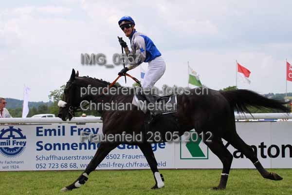 IMG 0557 prot