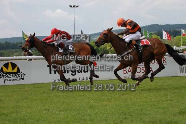 IMG 0561 prot