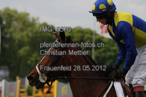 IMG 0570 prot