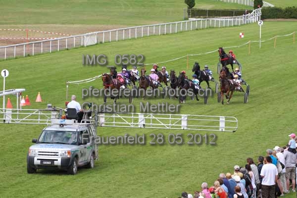 IMG 0582 prot