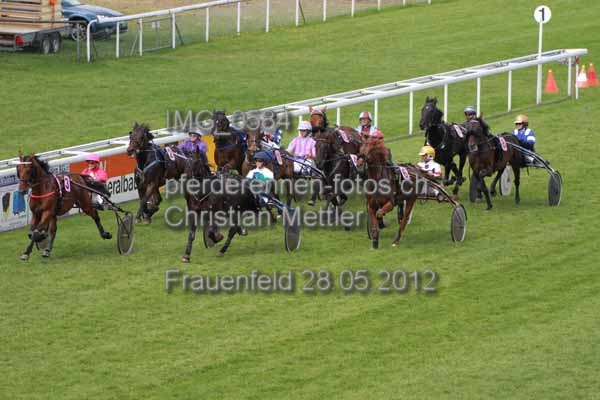 IMG 0584 prot