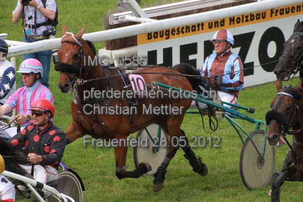IMG 0585 prot