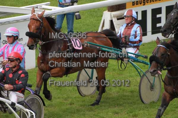 IMG 0586 prot
