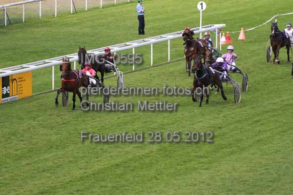 IMG 0595 prot